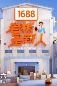 老板是新人