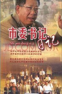 市委书记日记