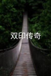 双印传奇
