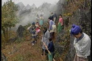 鱼公主红鲤公主