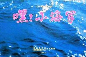 嘿！小海军