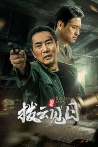 拨云见日2024