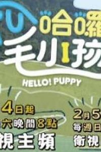 哈啰！毛小孩