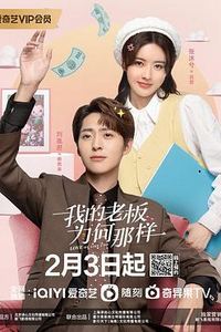 我的老板为何那样
