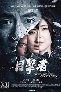 目击者之追凶
