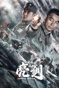 亮剑之英雄虎胆