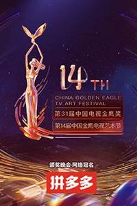 第十四届中国金鹰电视艺术节