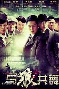 与狼共舞(2012)