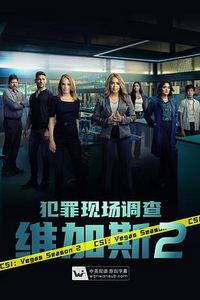 犯罪现场调查：维加斯第二季