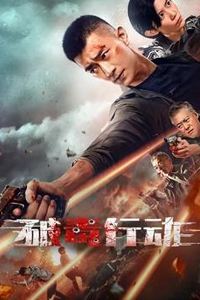 破毒行动