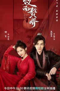 双面赘婿第二季