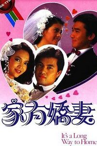 家有娇妻国语