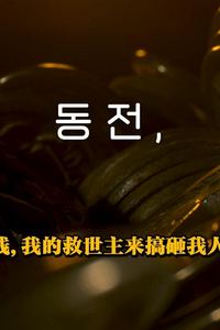 洪金铜钱