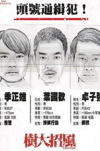 树大招风