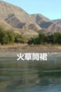 火草筒裙