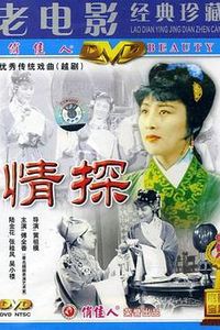 情探