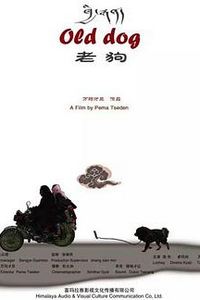 老狗