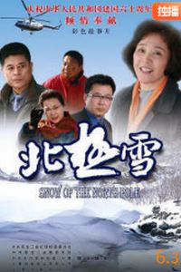 北极雪