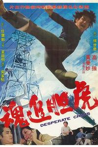 虎胆追魂