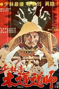 功夫传人之龙拳小子