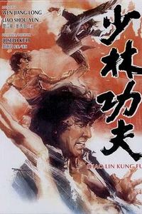 少林功夫