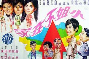 小姐不在家