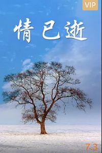 情已逝