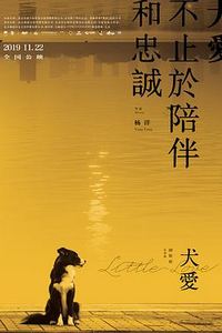 犬爱