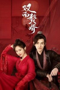 双面赘婿