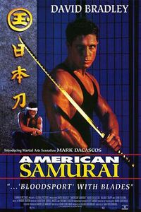 武士奇遇