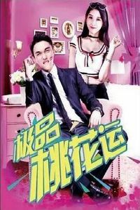 极品桃花运