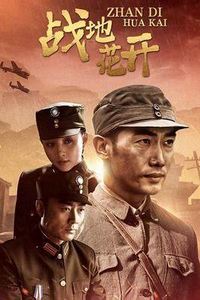 战地花开