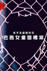 来不及盛开的花：巴西女童坠楼案