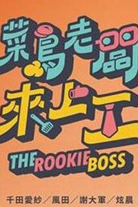 菜鸟老板来上工
