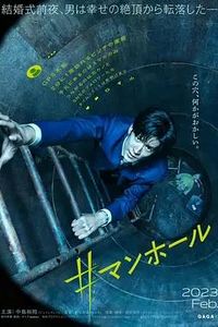 #窨井盖