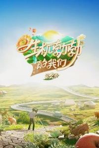 生机勃勃的我们第二季
