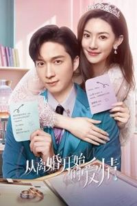从离婚开始的爱情