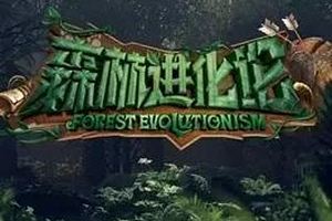 森林进化论