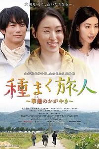 播种的旅人：华莲的光辉