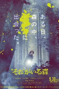 “那个”所在的森林