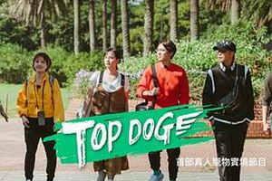 TOP DOG