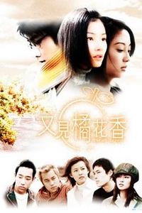 又见橘花香