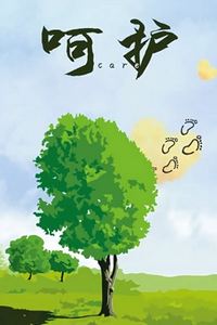 呵护