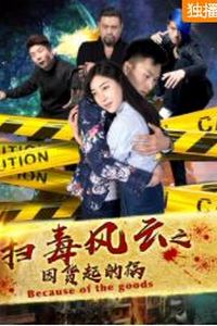 扫毒风云之因货起的祸