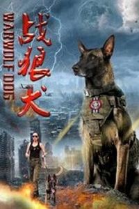 战狼犬