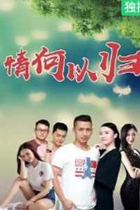 情何以归