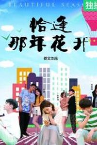 恰逢那年花开