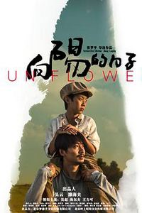 向阳的日子