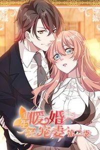 重生暖婚轻宠妻第二季动态漫