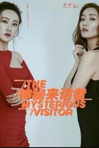 神秘来访者